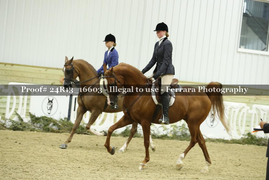 Proof 24R13_16603
