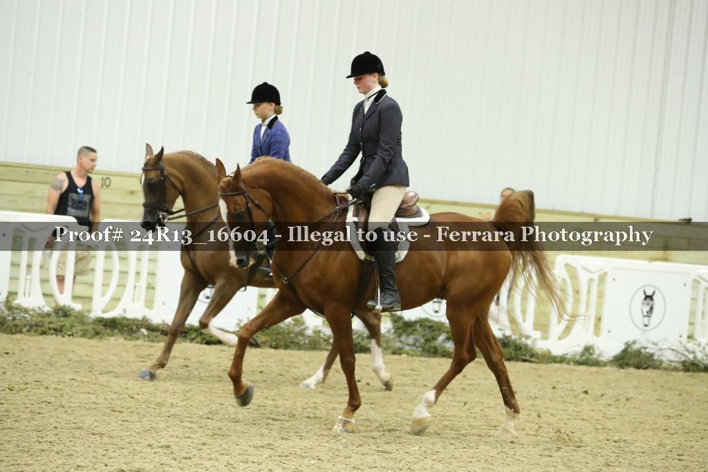 Proof 24R13_16604