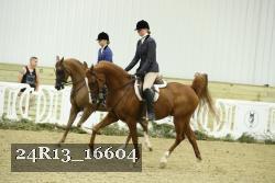 24R13_16604 proof