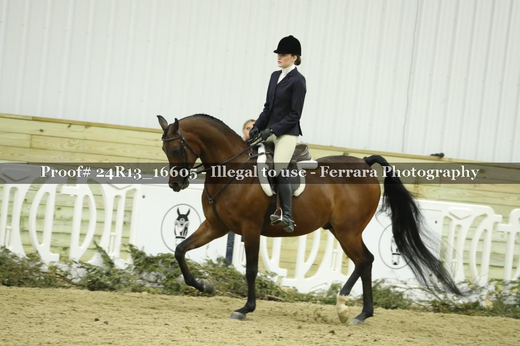 Proof 24R13_16605