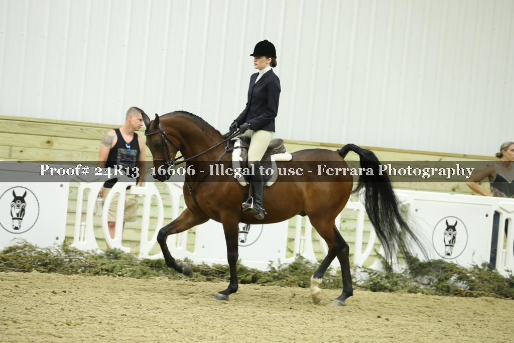 Proof 24R13_16606