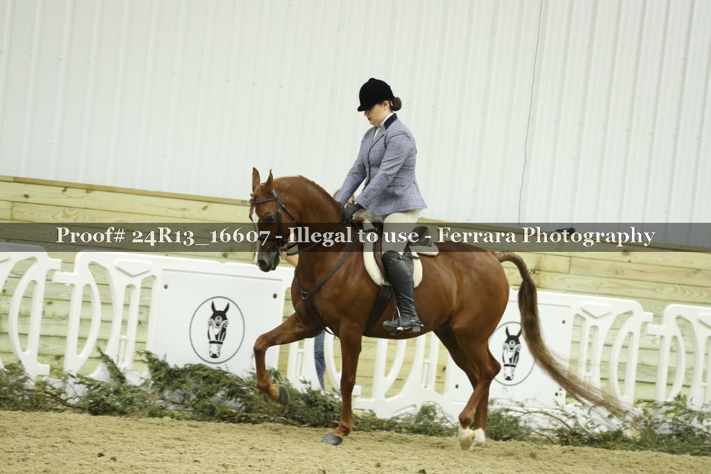 Proof 24R13_16607
