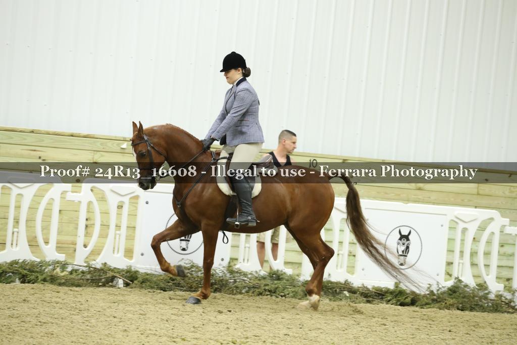 Proof 24R13_16608