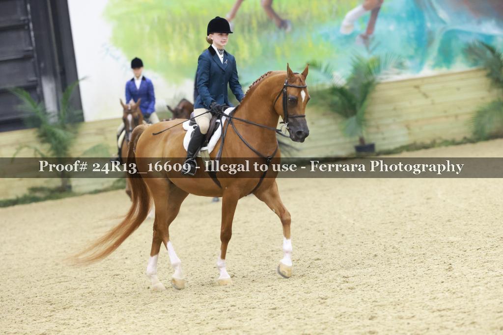 Proof 24R13_16609