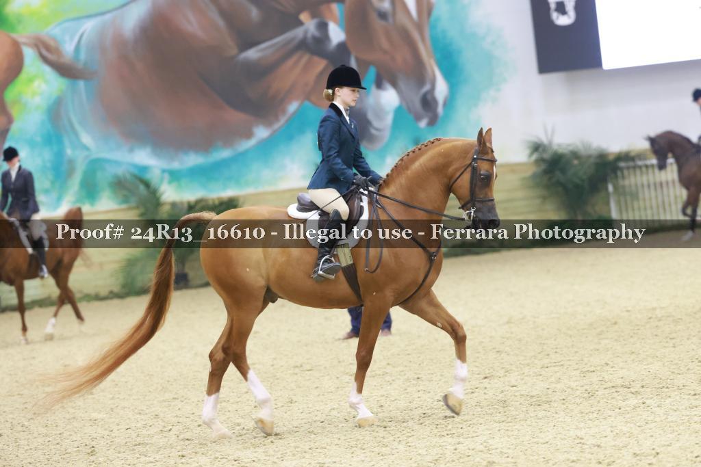 Proof 24R13_16610