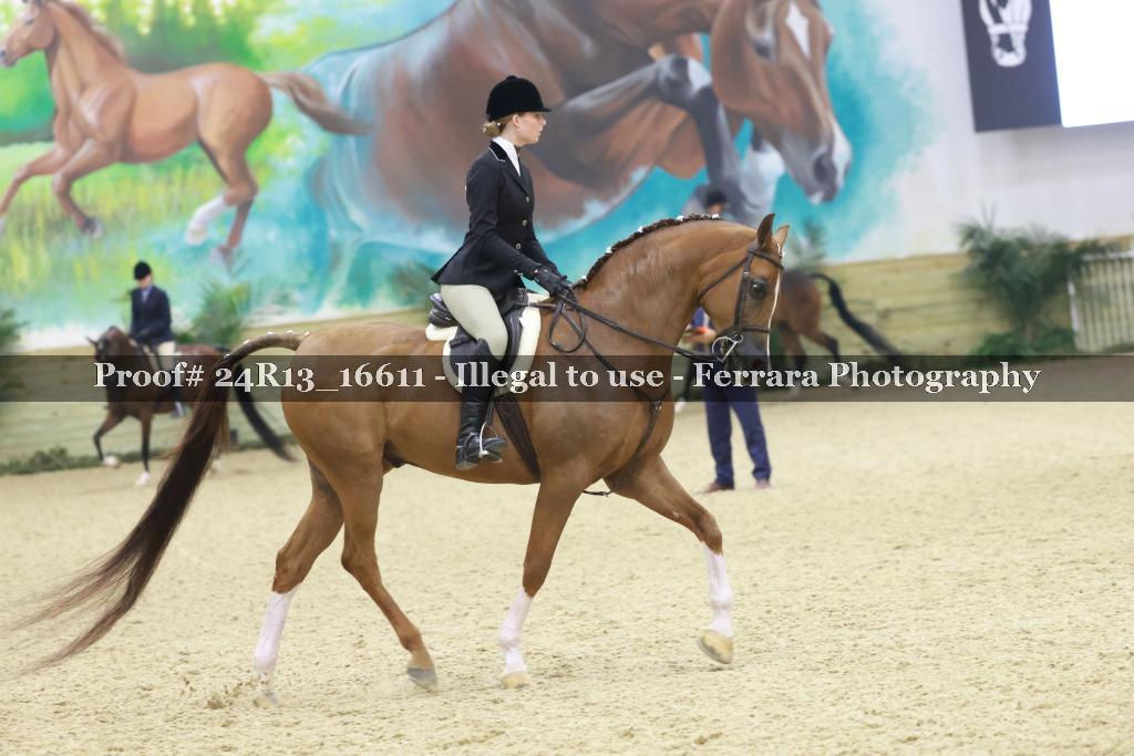 Proof 24R13_16611