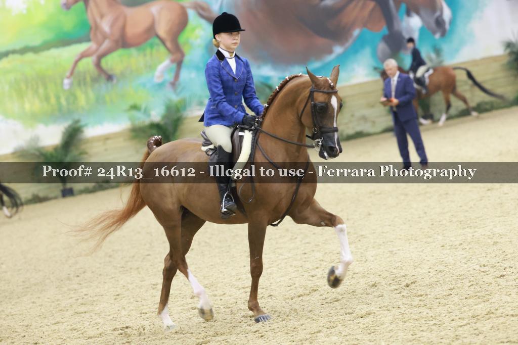 Proof 24R13_16612