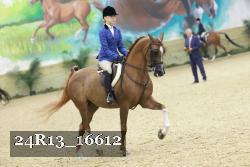 24R13_16612 proof