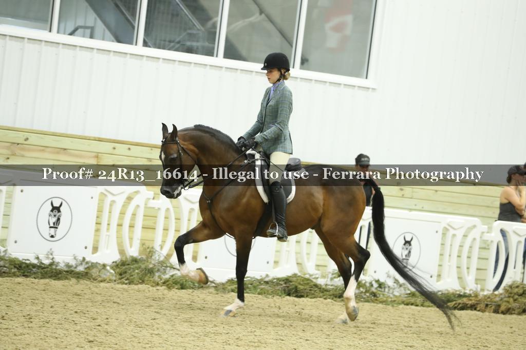 Proof 24R13_16614