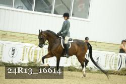24R13_16614 proof