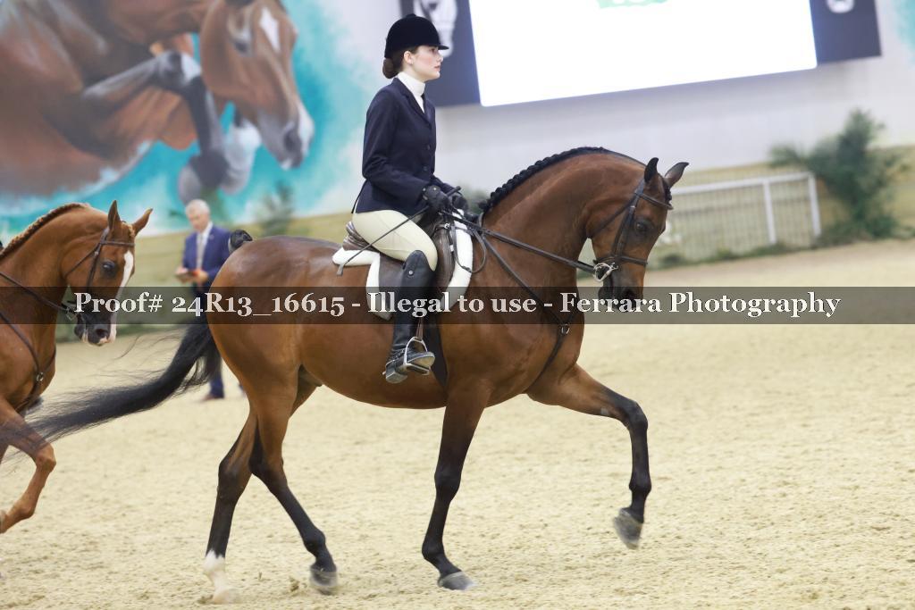 Proof 24R13_16615