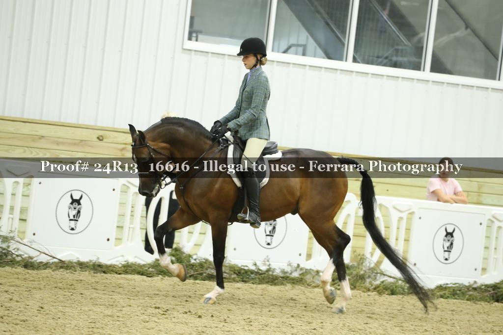 Proof 24R13_16616