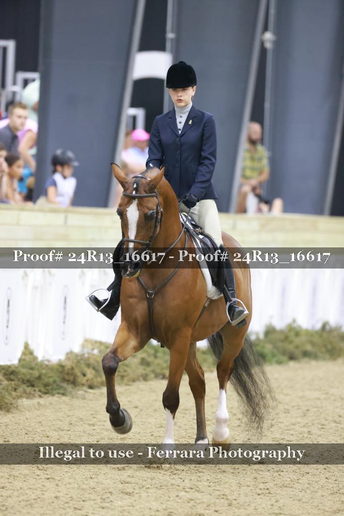 Proof 24R13_16617