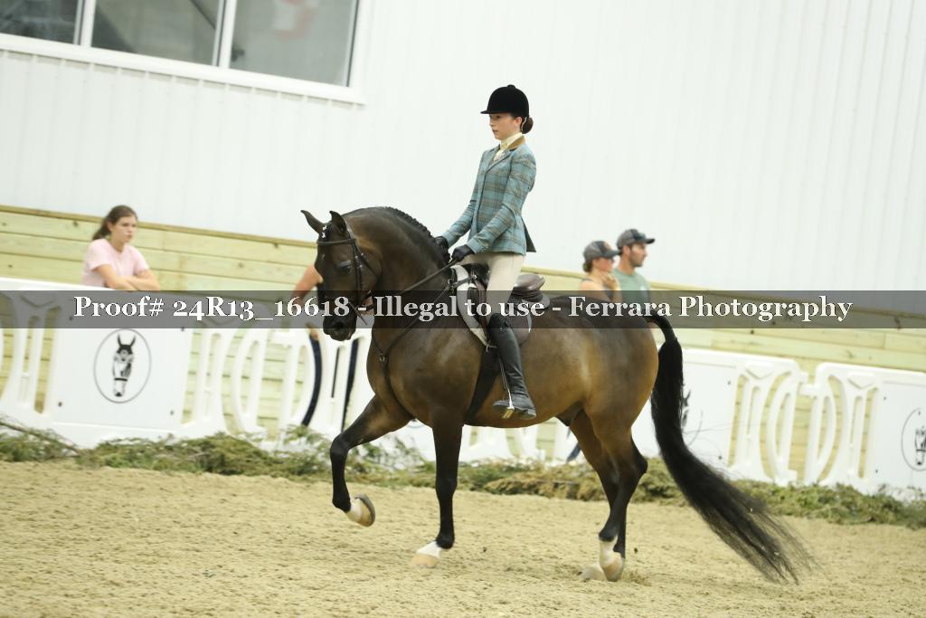 Proof 24R13_16618
