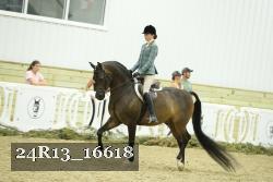 24R13_16618 proof