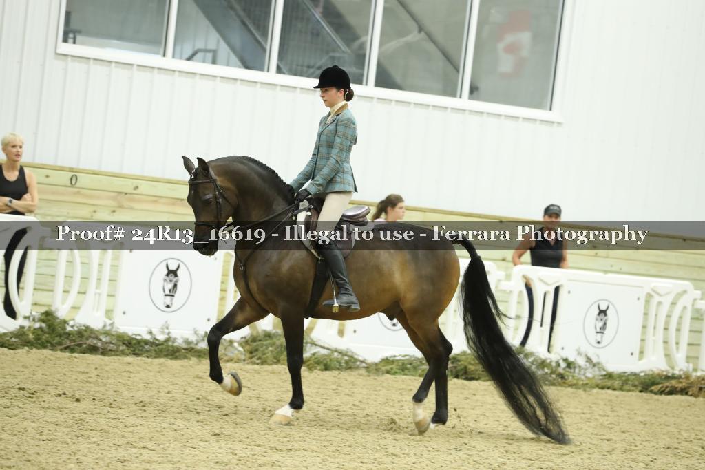 Proof 24R13_16619
