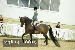 24R13_16619 proof