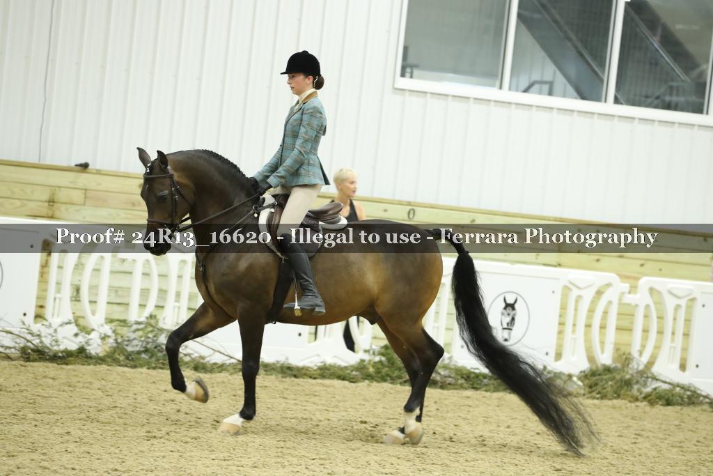 Proof 24R13_16620