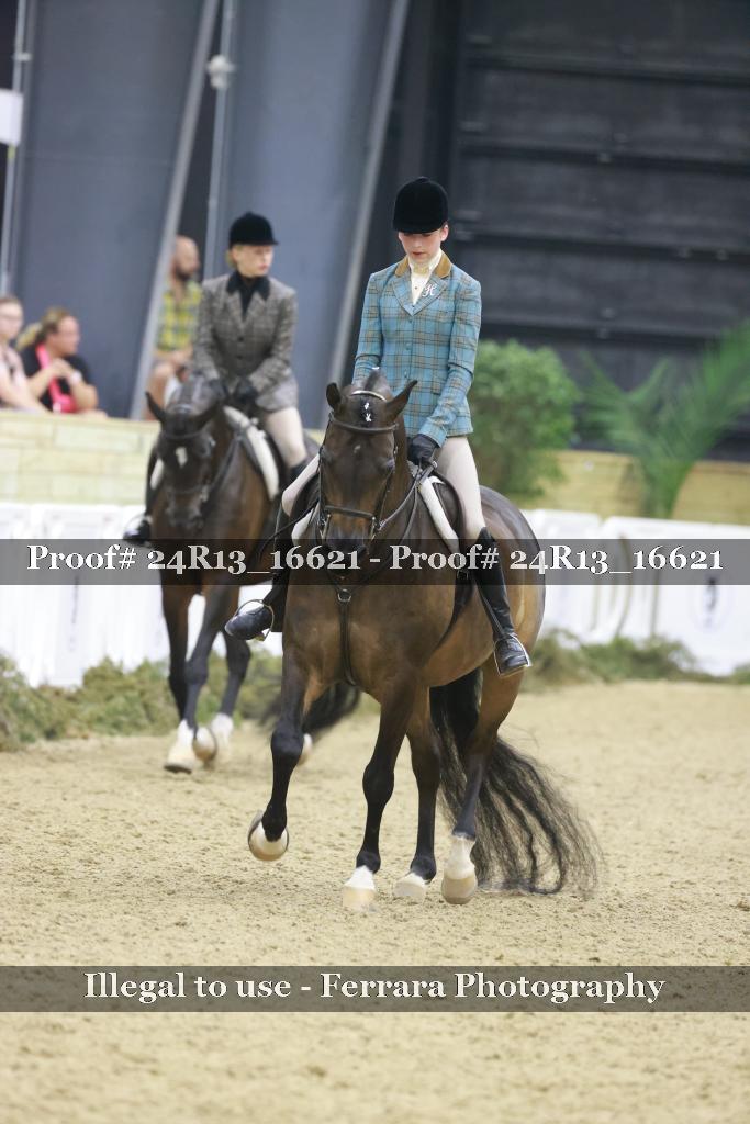 Proof 24R13_16621