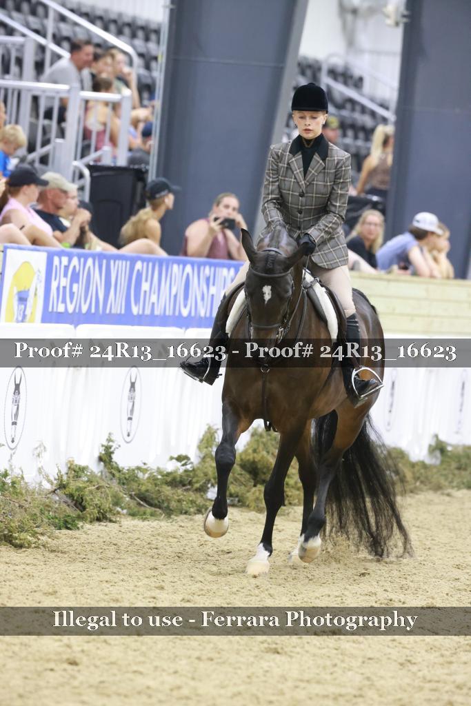 Proof 24R13_16623