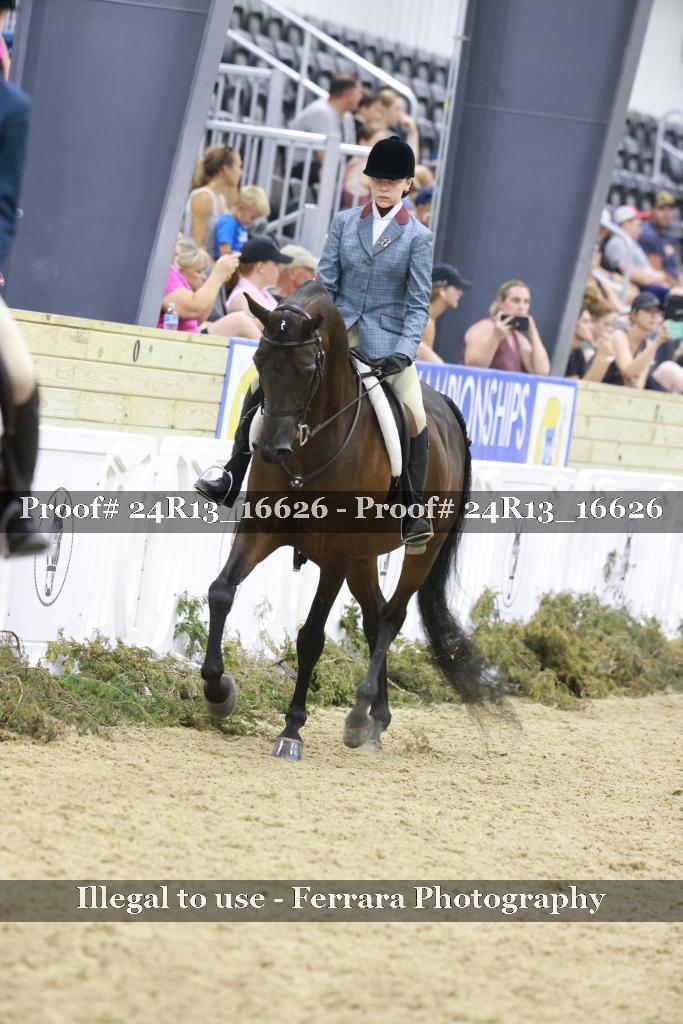 Proof 24R13_16626
