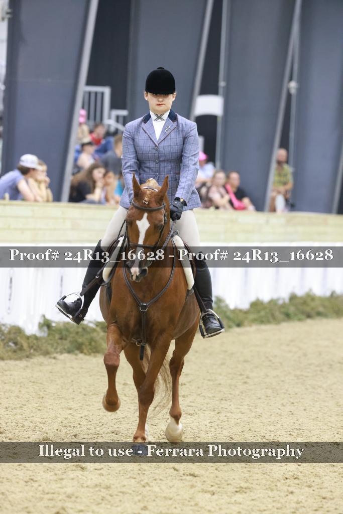 Proof 24R13_16628