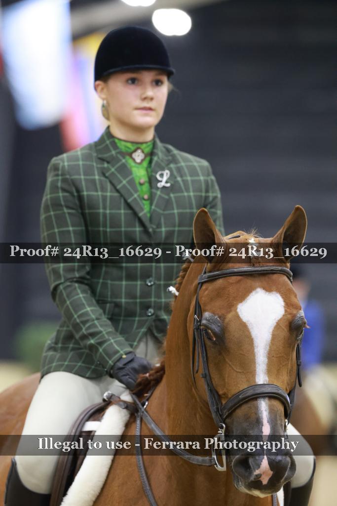 Proof 24R13_16629