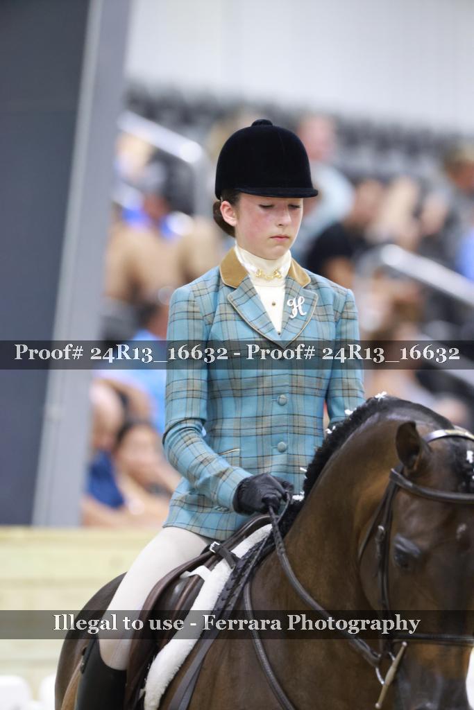 Proof 24R13_16632