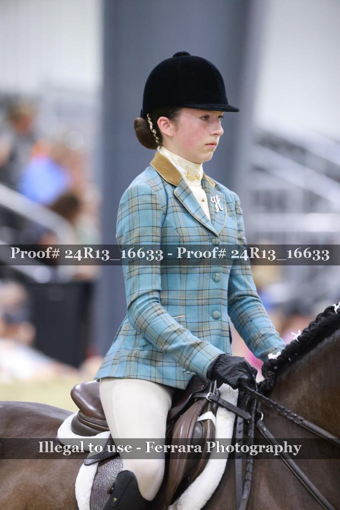 Proof 24R13_16633