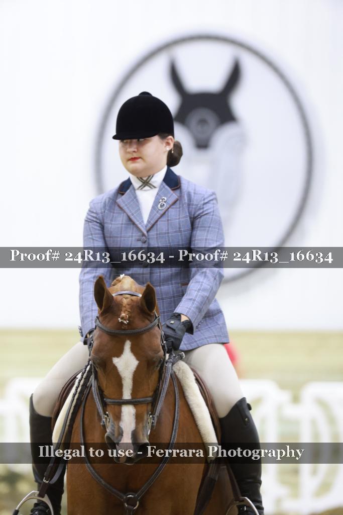 Proof 24R13_16634