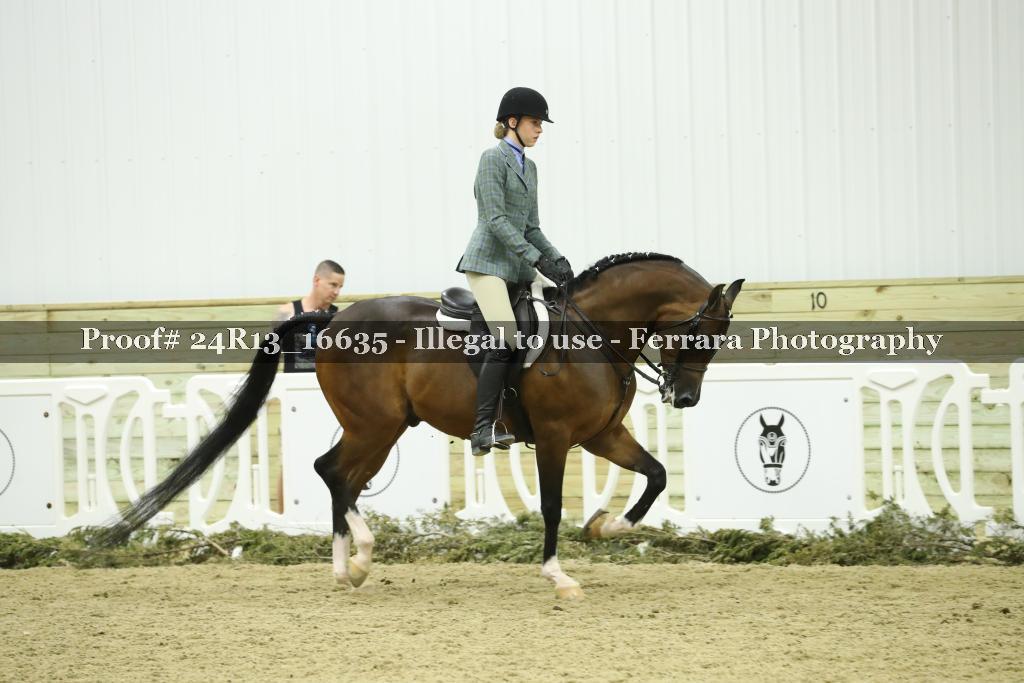 Proof 24R13_16635