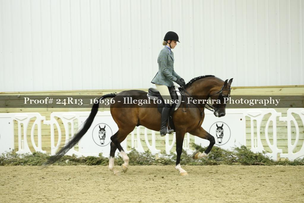 Proof 24R13_16636