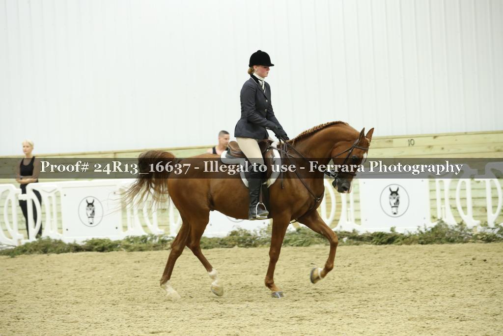 Proof 24R13_16637