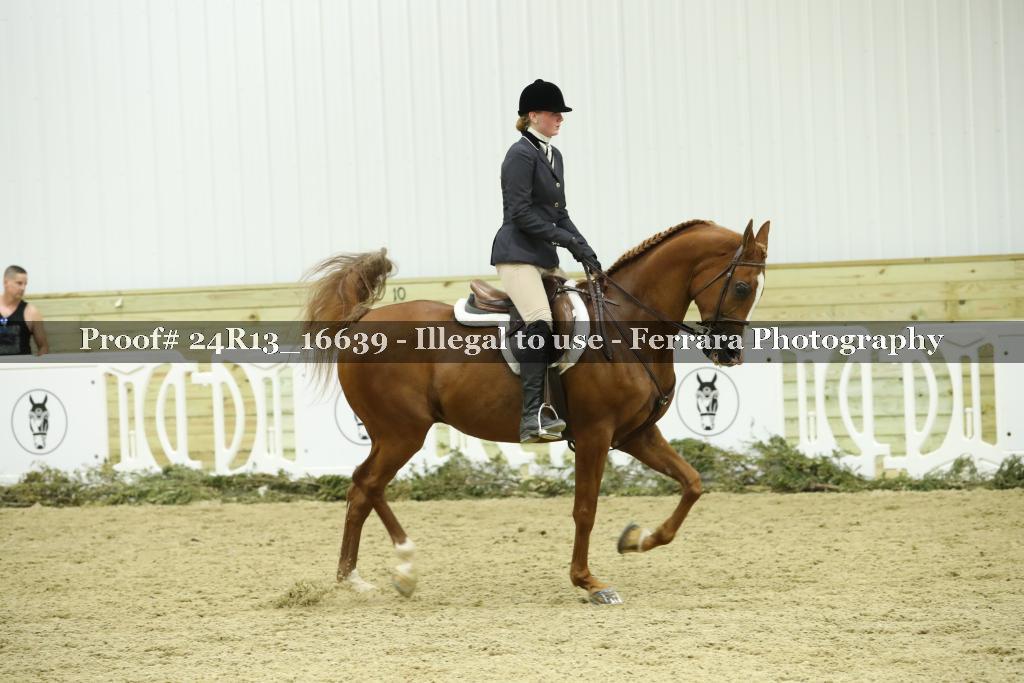 Proof 24R13_16639