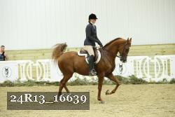 24R13_16639 proof