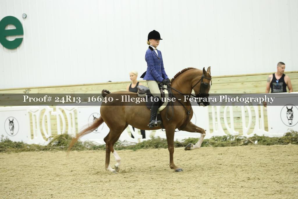 Proof 24R13_16640