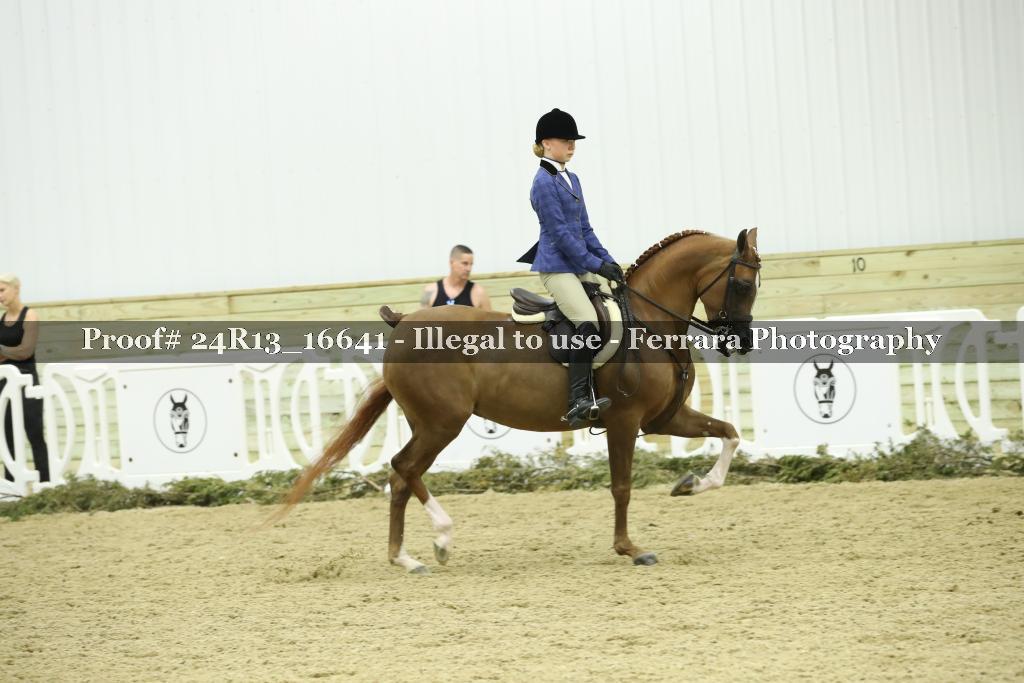 Proof 24R13_16641