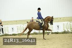 24R13_16641 proof