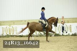24R13_16642 proof