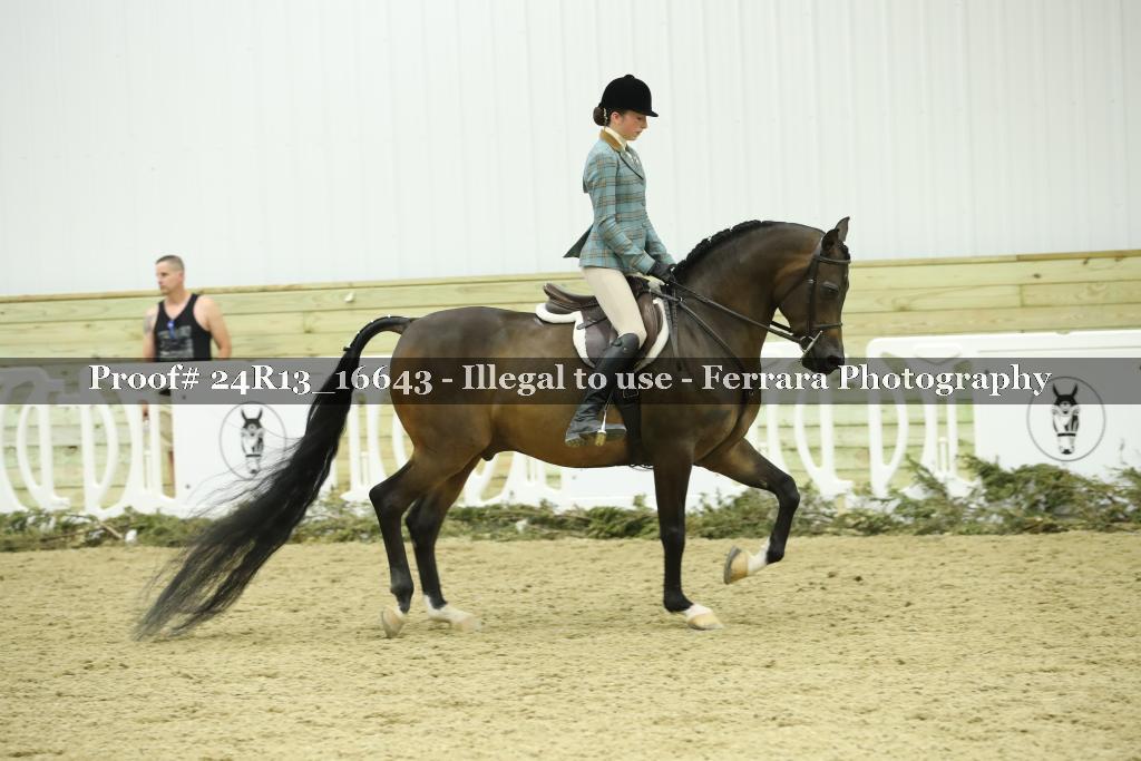 Proof 24R13_16643