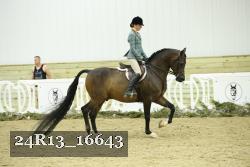24R13_16643 proof