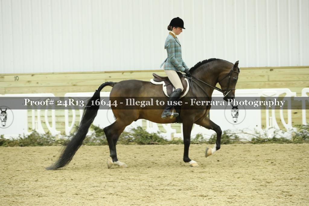 Proof 24R13_16644