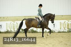 24R13_16644 proof