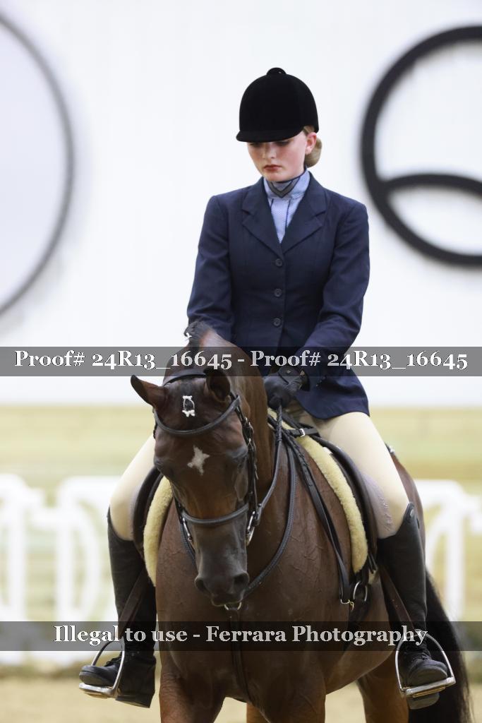 Proof 24R13_16645