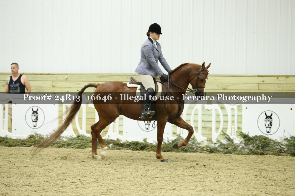 Proof 24R13_16646