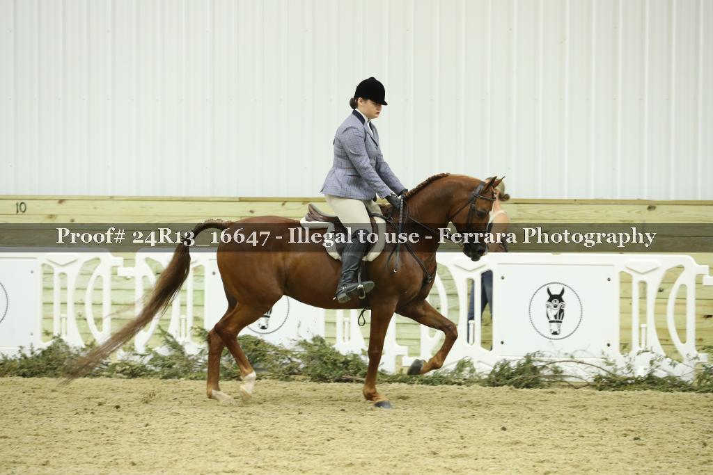 Proof 24R13_16647