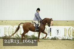 24R13_16647 proof