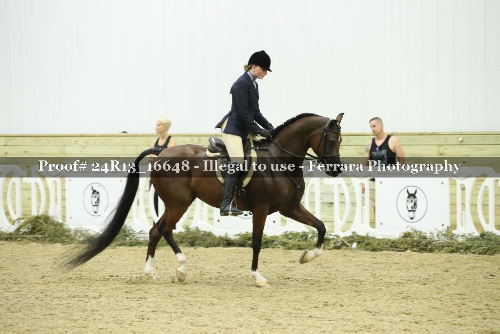 Proof 24R13_16648