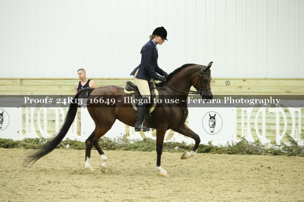 Proof 24R13_16649