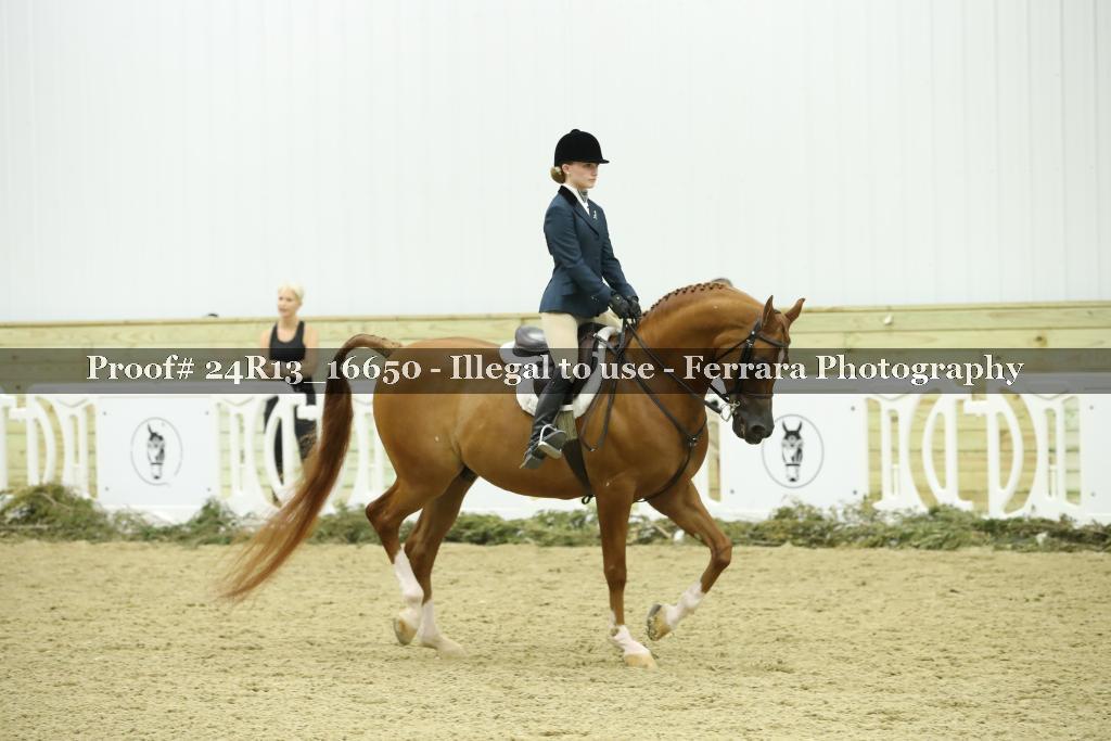 Proof 24R13_16650
